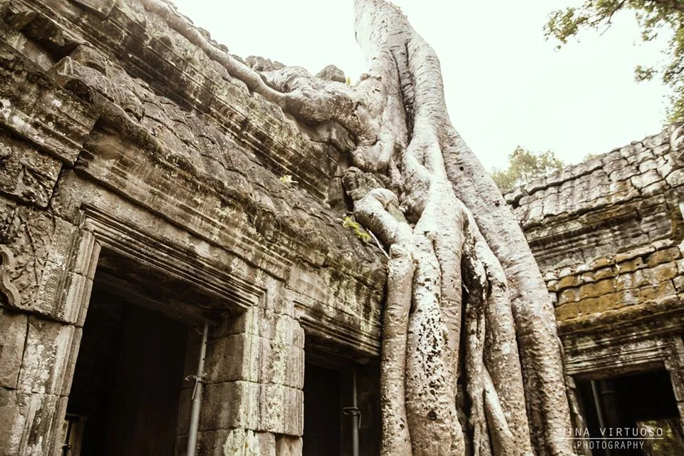 Ta Prohm