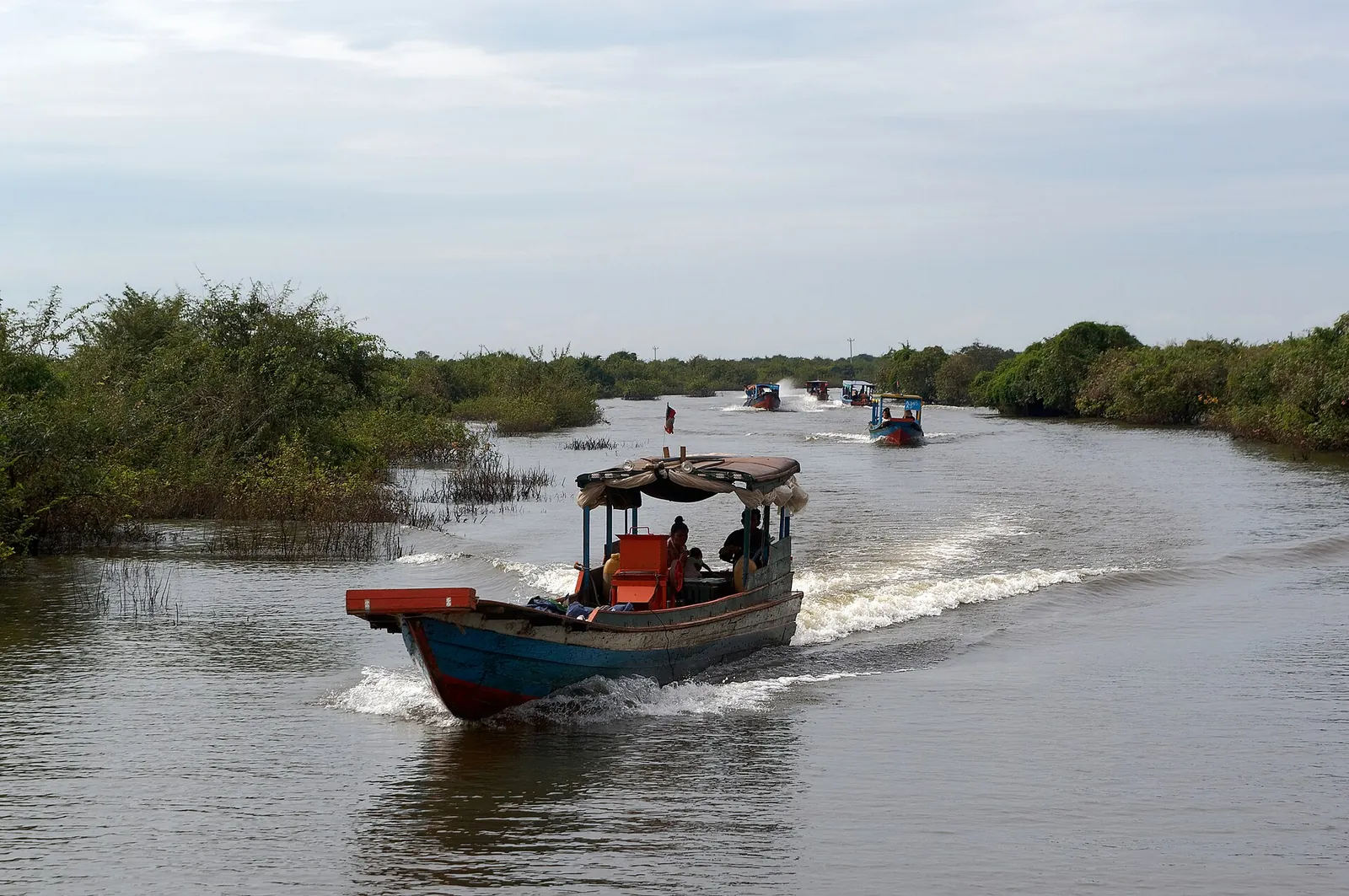 Barche turistiche risalgono il canale tra le mangrovie verso i villaggi del lago Tonle Sap, Cambogia