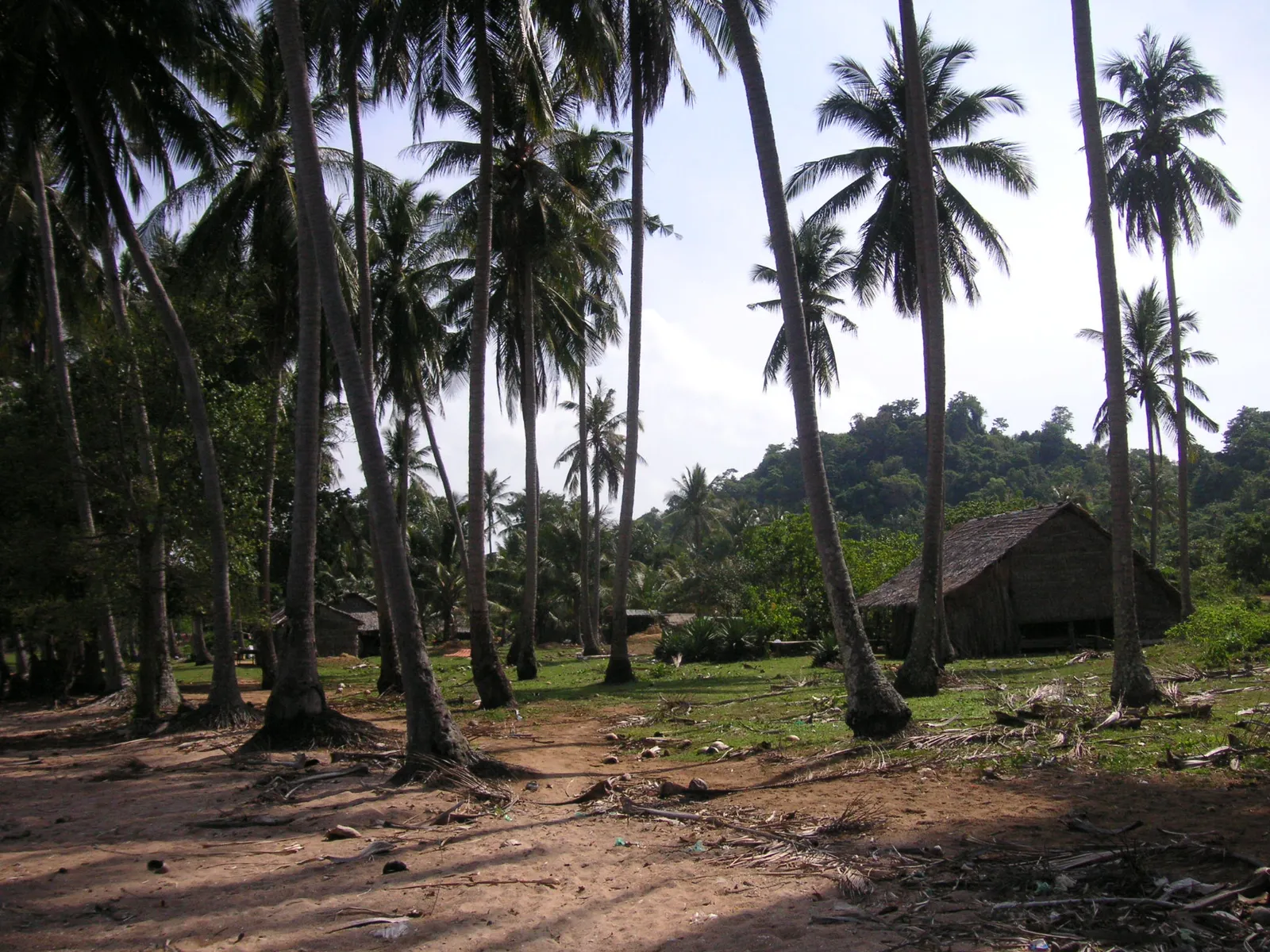 Bungalow di legno tra le palme sull'isola di Koh Tonsay (Rabbit Island), al largo di Kep in Cambogia