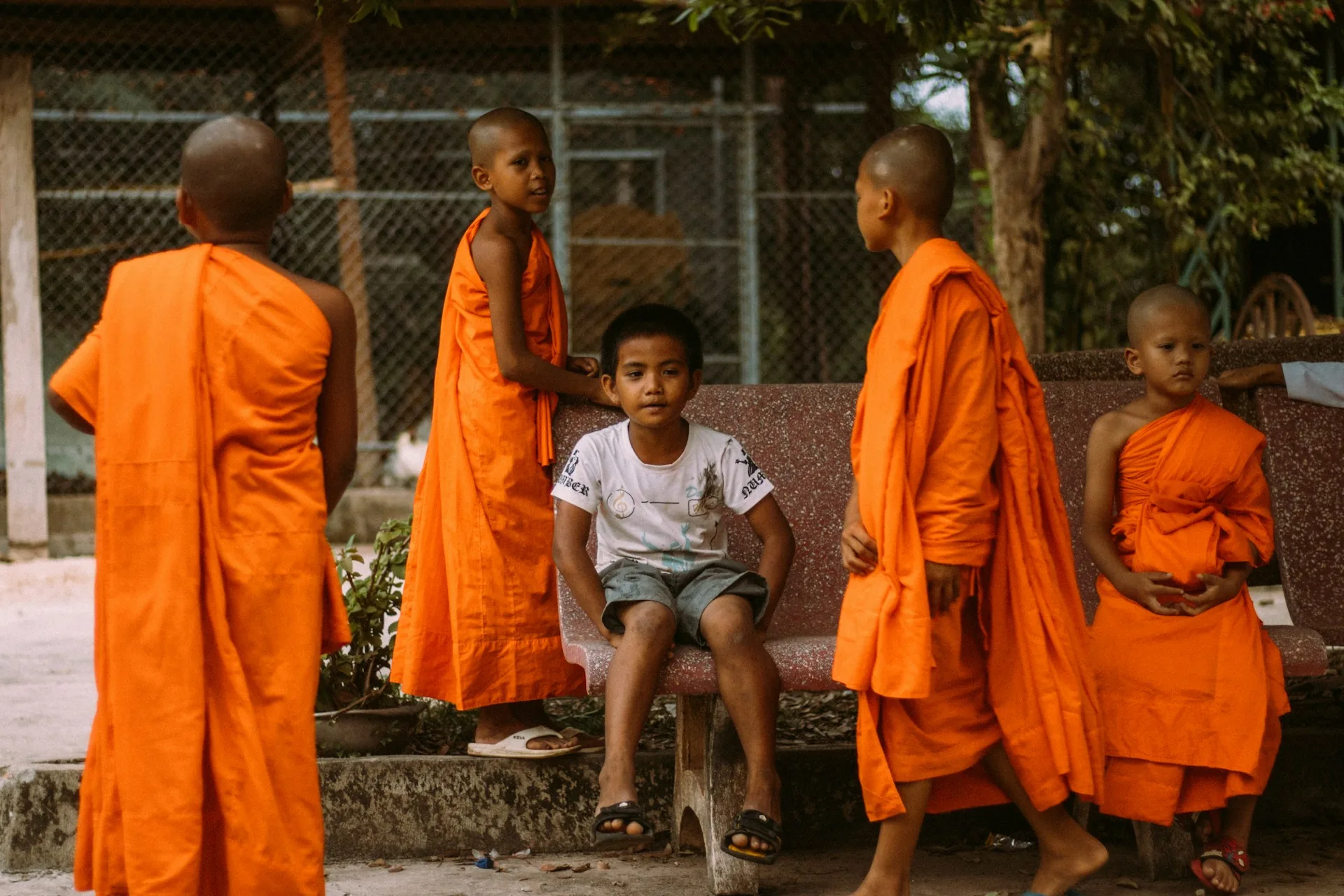 Piccoli novizi, monaci buddhisti bambini