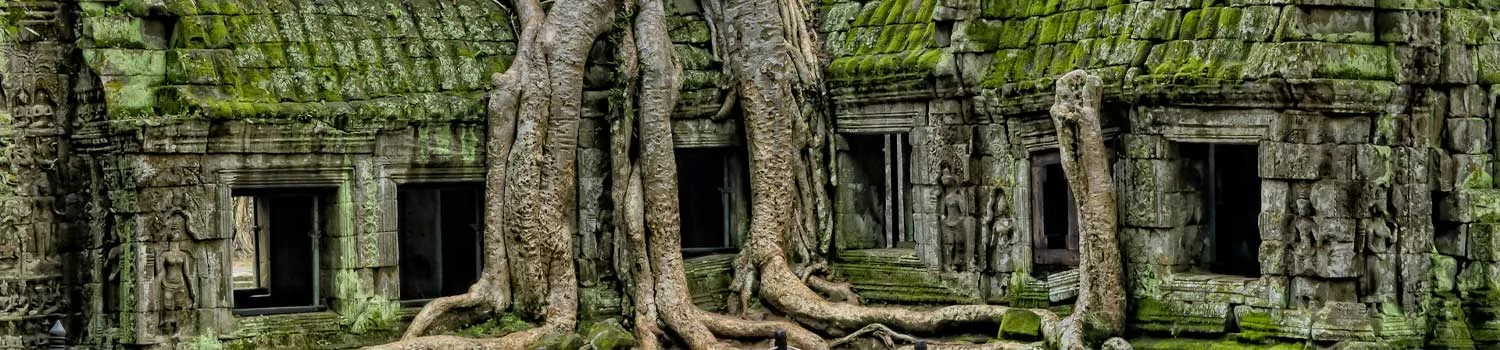 Ta Phrom, alberi avvolti alle rovine del tempio