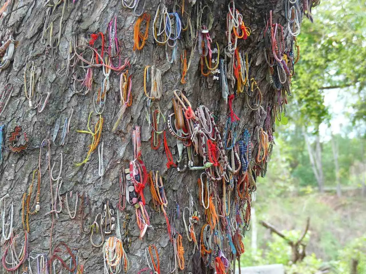 braccialetti appesi ad un tronco di albero, Choeung Ek Memorial