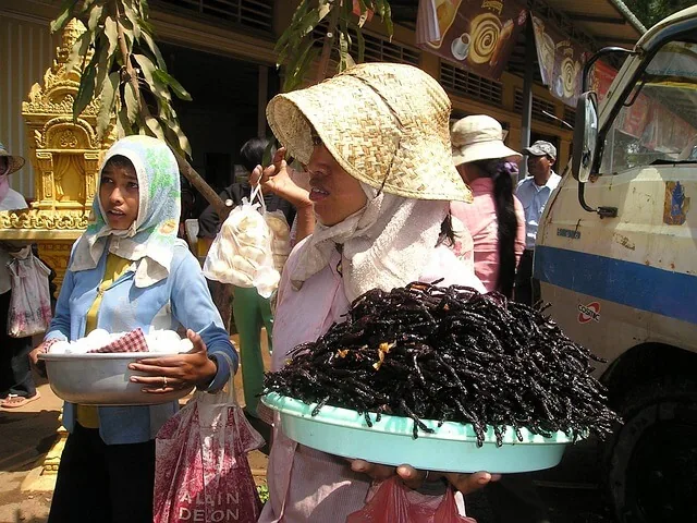 venditrice di insetti fritti