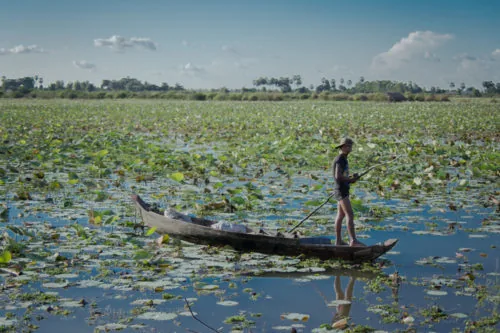 un pescatore in piedi sulla sua barca di legno attraversa il suggestivo lago dei fiori di loto a Battambang