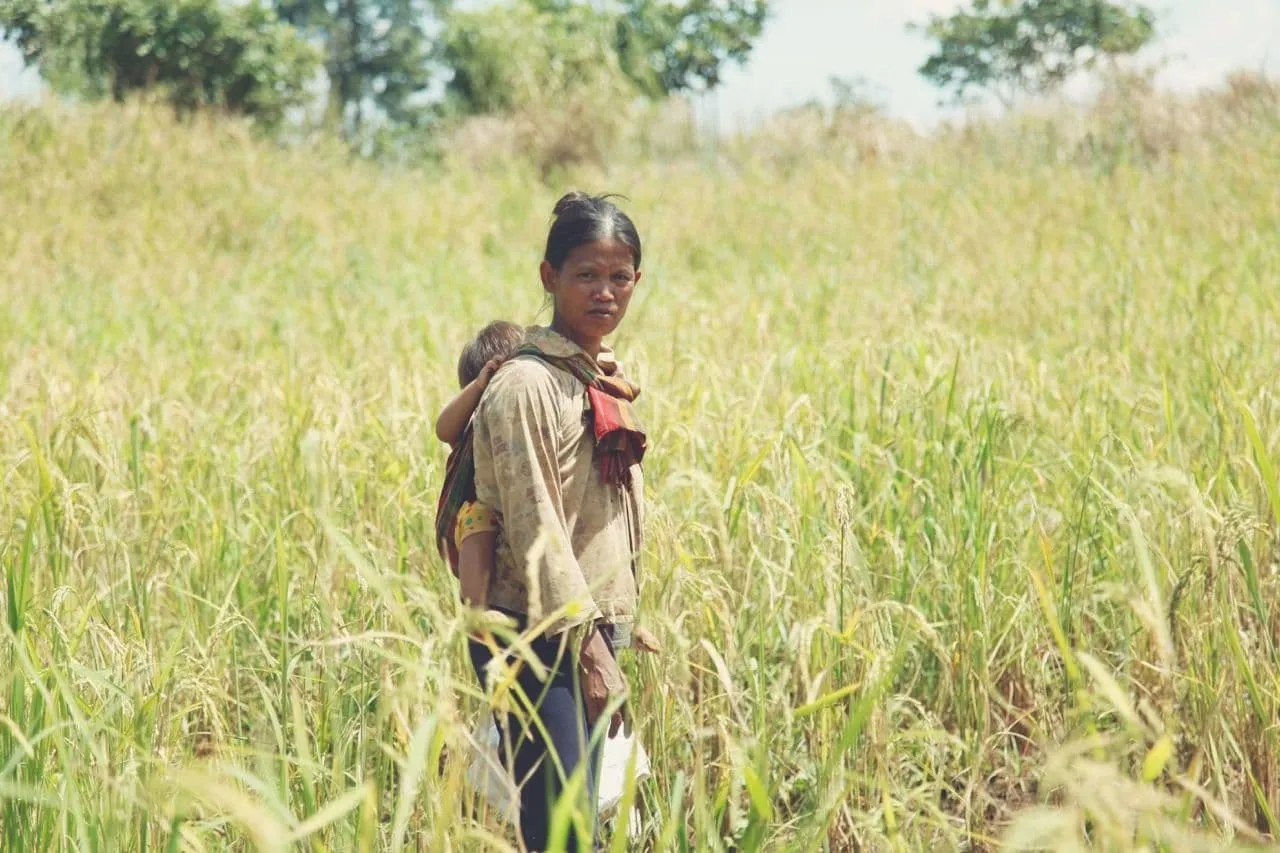 Donna jarai, minoranza etnica delle alture, con il bambino in un campo di riso nel Ratanakiri, Cambogia