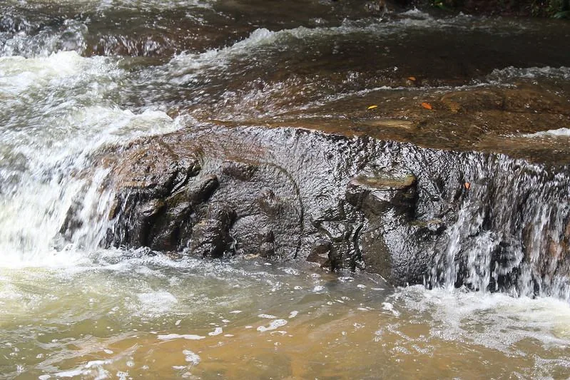 Escursione al Kulen Park e al fiume Kbal Spean - Vacanze in Cambogia