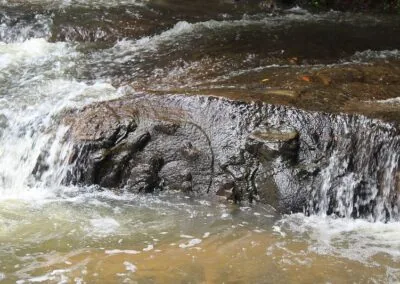 Escursione al Kulen Park e al fiume Kbal Spean Escursione al Kulen Park e al fiume Kbal Spean