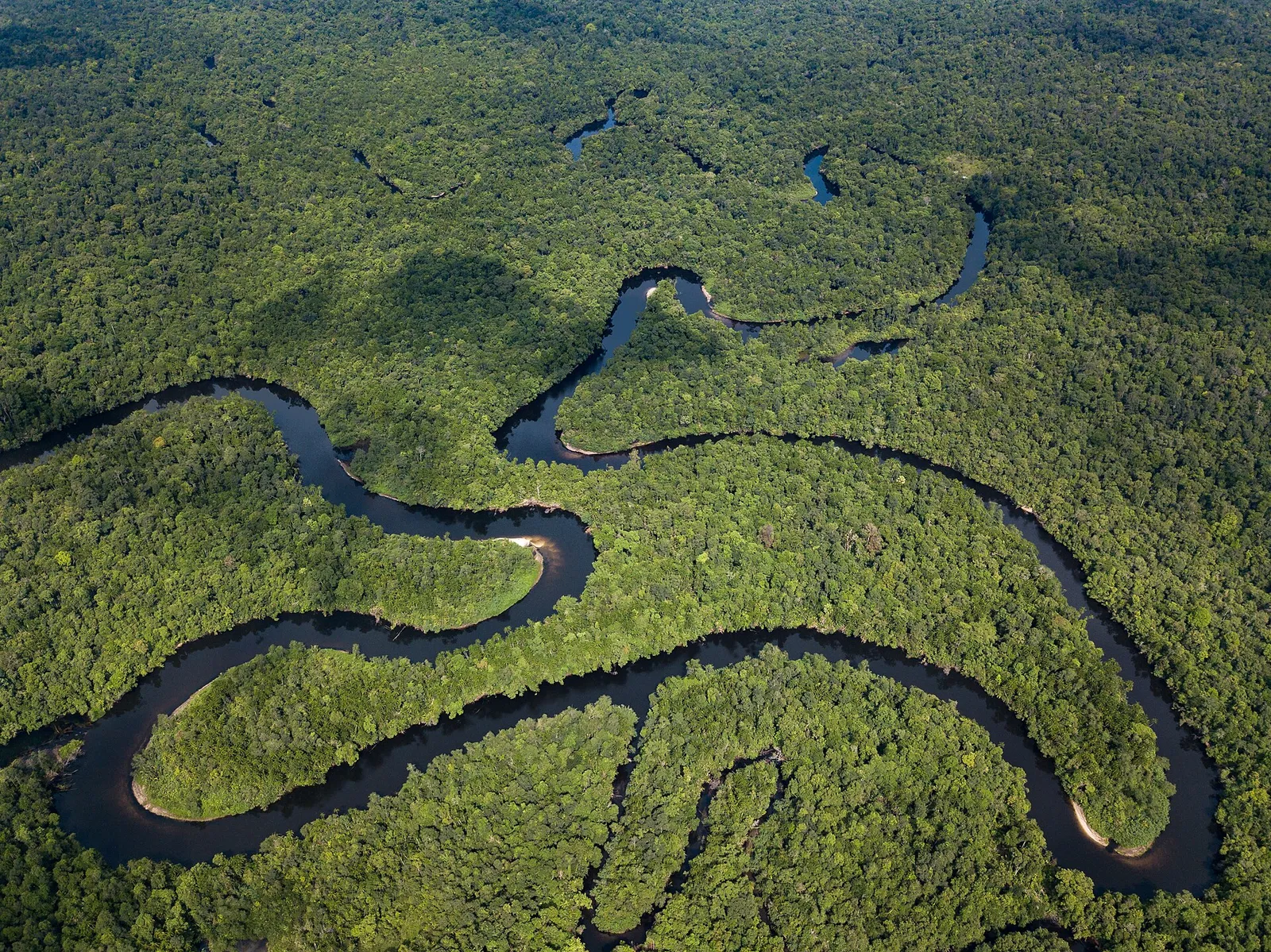 Il fiume Stung Proat nei Monti Cardamomi Il fiume Stung Proat che serpeggia nella foresta pluviale dei Monti Cardamomi in Cambogia visto dall'alto