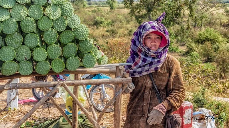 Venditrice di verdure a Kampong Cham