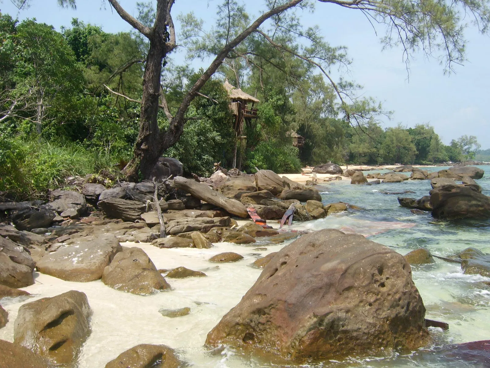 La costa rocciosa e la foresta di Koh Rong Costa rocciosa con alberi e una casa sull'albero tra la foresta di Koh Rong, Cambogia