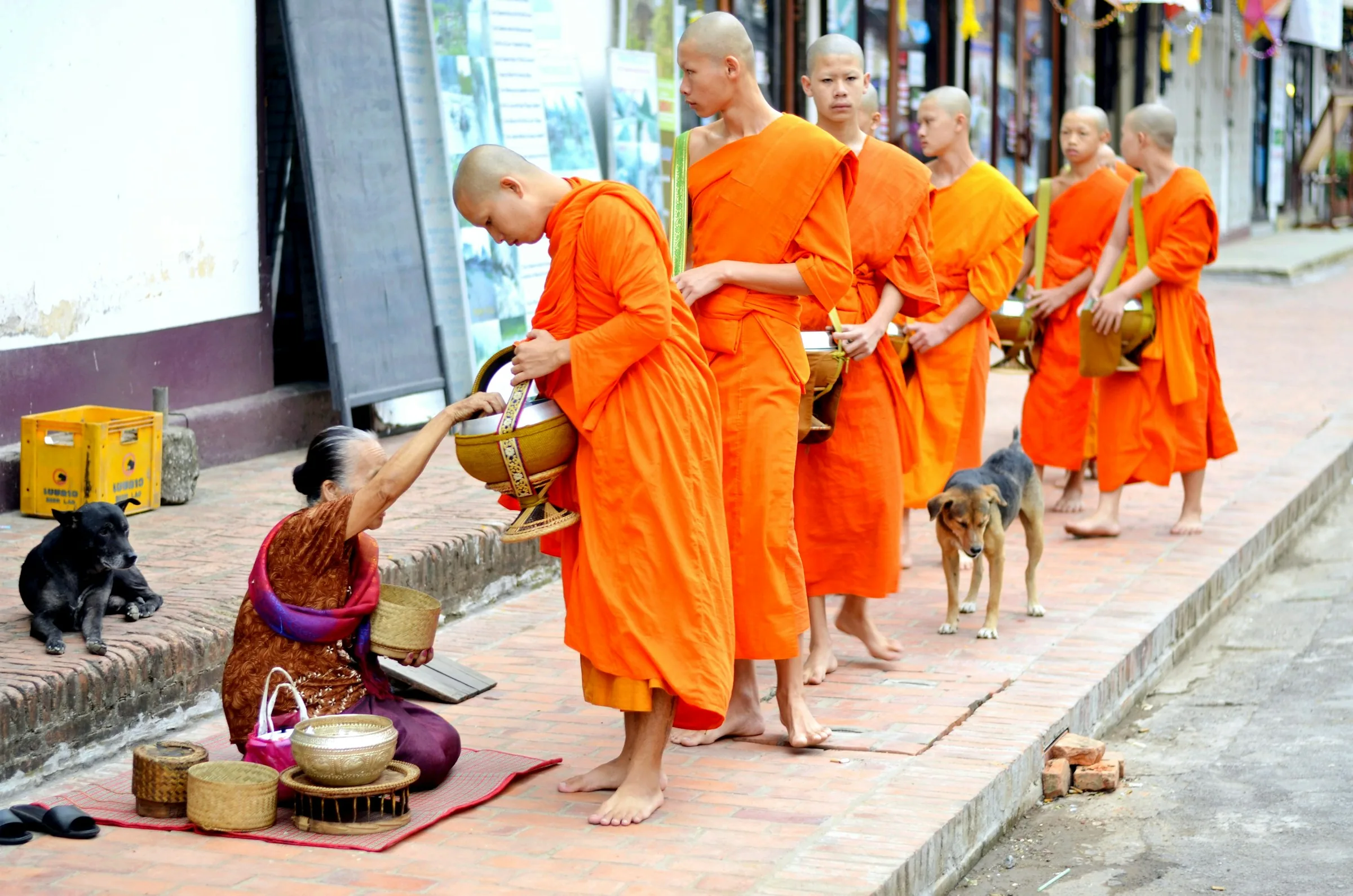 offerta di cibo ai monaci all'alba, Luang Prabang offerta di cibo ai monaci all'alba, Luang Prabang