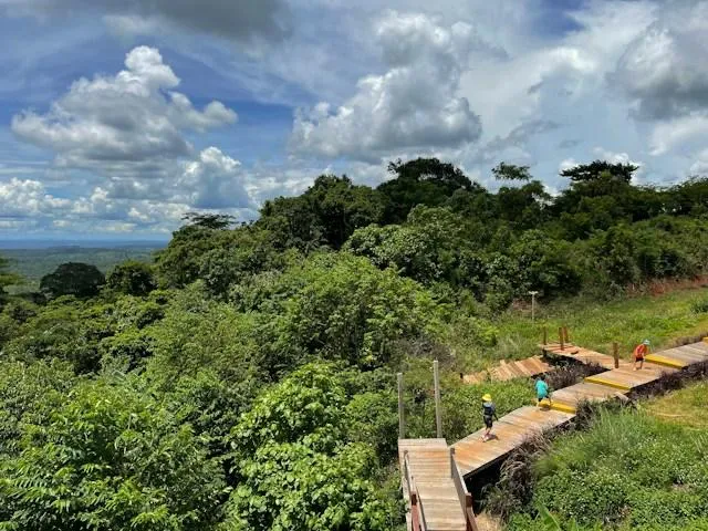 La passerella nella giungla di Mondulkiri Una passerella di legno sopra la fitta giungla verde di Mondulkiri, nella Cambogia orientale