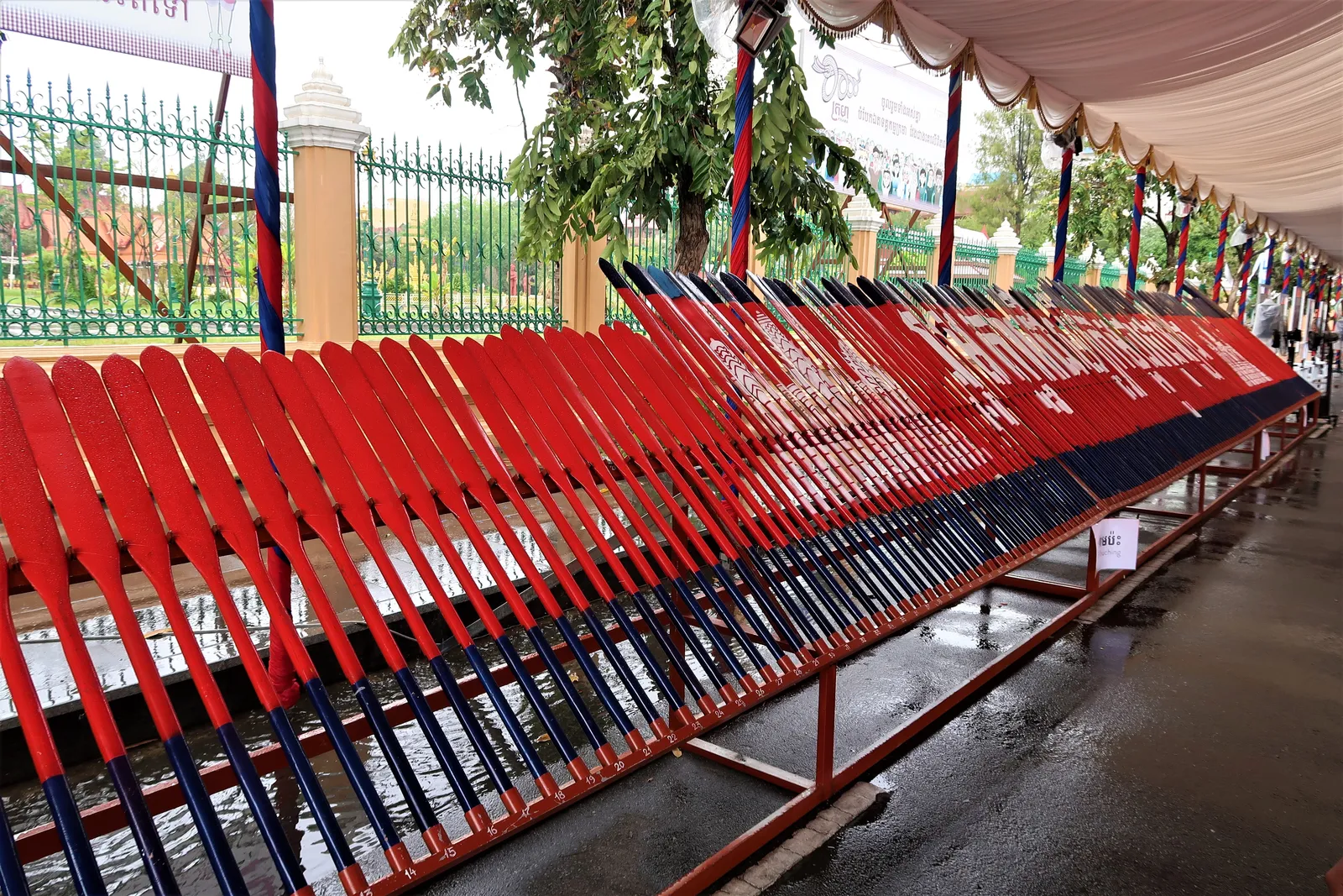 I remi delle barche da regata del Bon Om Touk Remi colorati allineati sulle lunghe barche da regata del Festival dell'Acqua Bon Om Touk in Cambogia