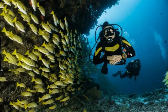 Diving e snorkeling in Cambogia: dove tuffarsi