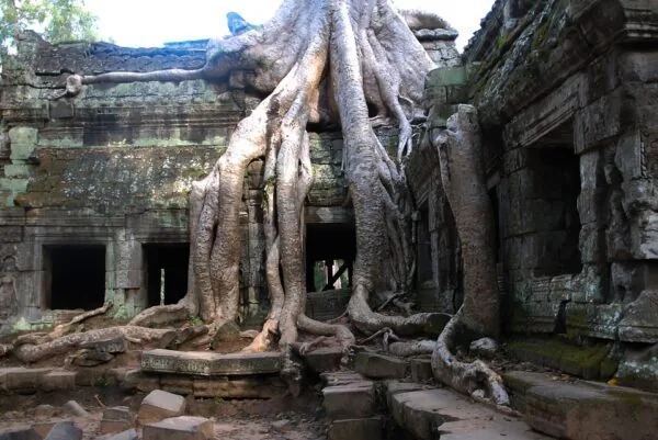 Ta Phrom