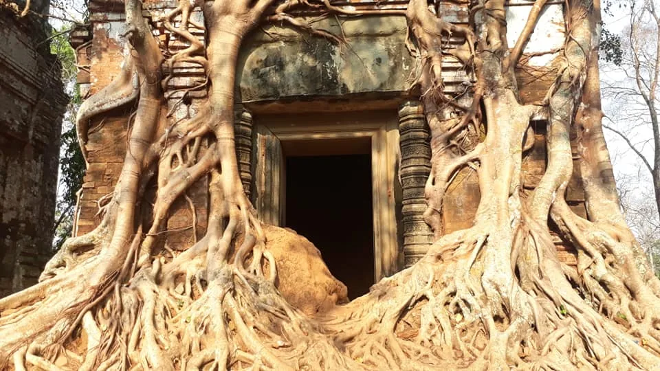 Koh Ker, suggestivo tempio avvolto da rami e radici dei vicini alberi