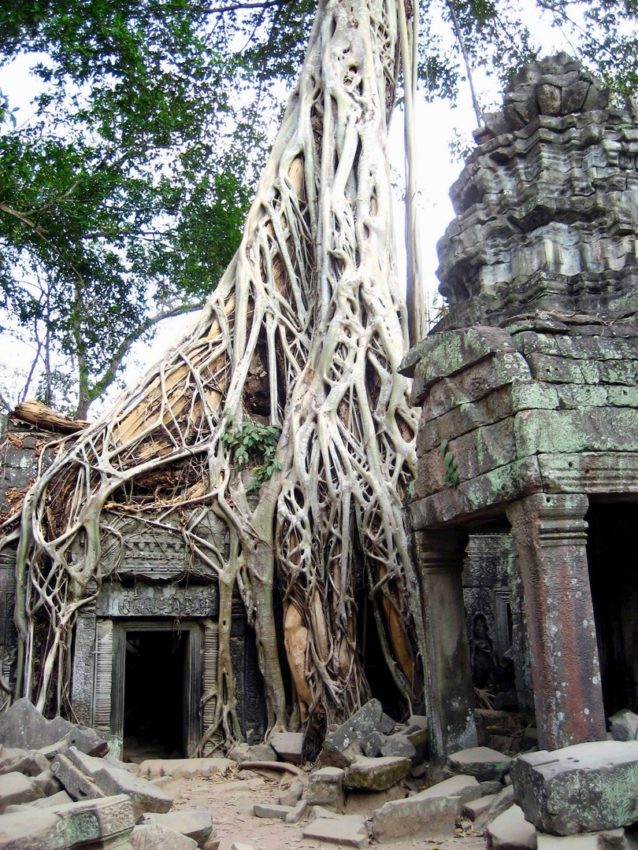 Ta Phrom, scegli il periodo migliore per il tuo viaggio in Cambogia