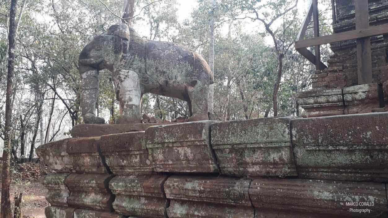 statua elefante tempio Koh Ker